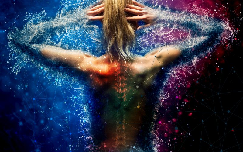 Hematopoietic Stem Cells: a New Transplant Paradigm for Multiple Sclerosis?